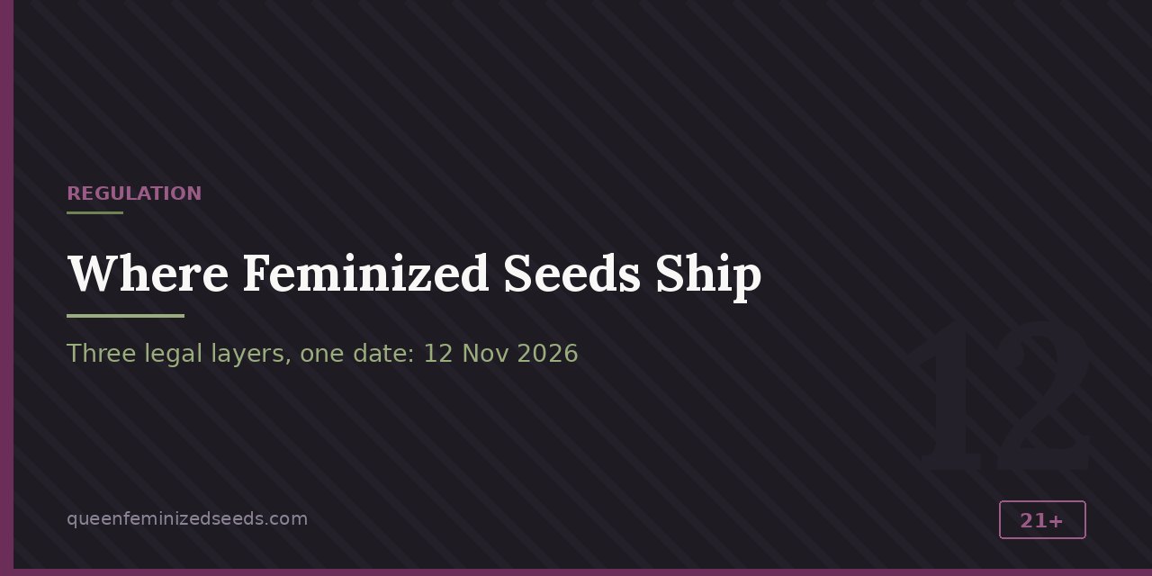 Banner de sección con el título Regulación, que marca tres capas legales y la fecha del 12 de noviembre de 2026